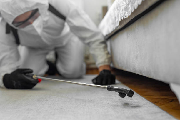 Professional Bed Bug Control technician working in Harwich Center, MA